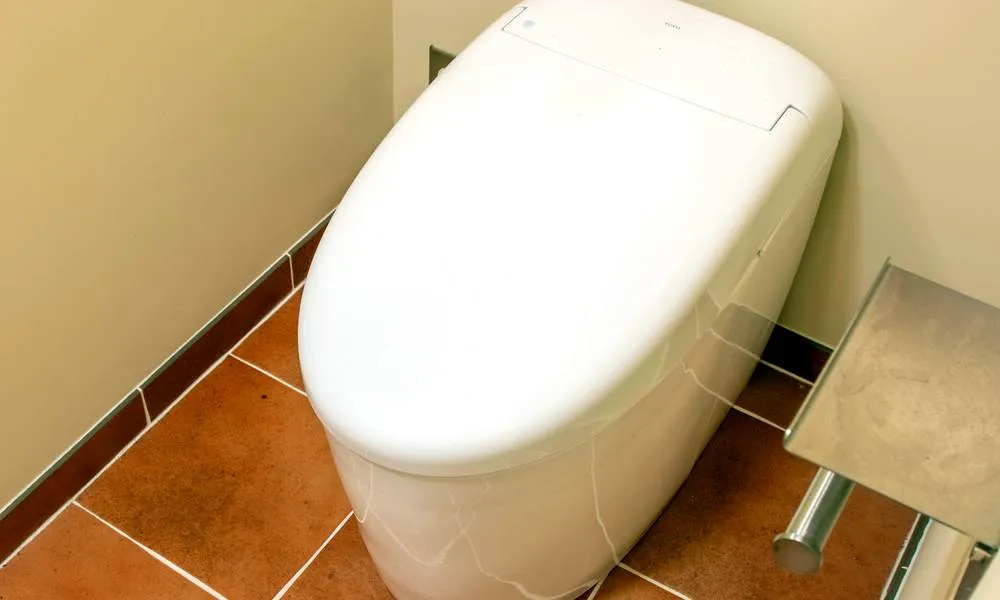 Accessible ADA compliant Bathroom and Laundry Renovation in Greenwood gallery image 15