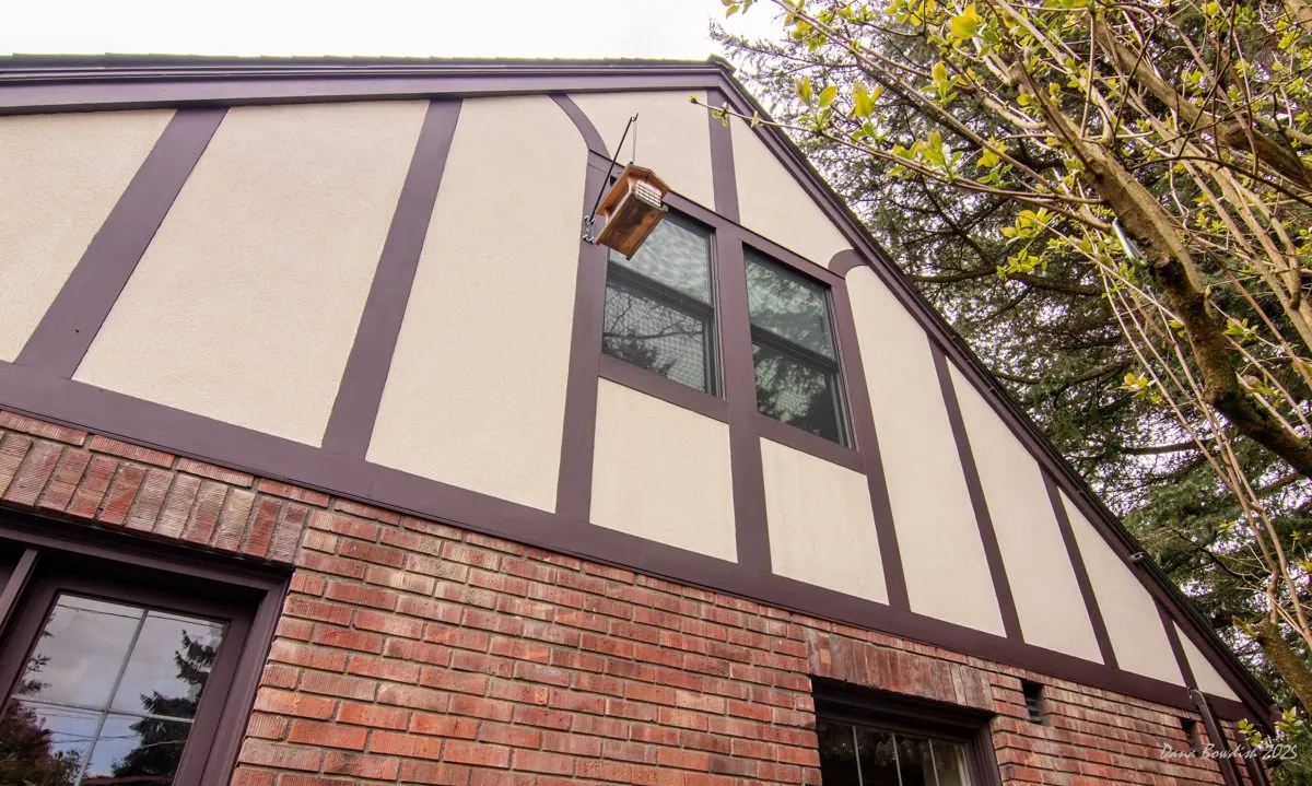 Brick cleaning and re-tuck-pointing throughout the exterior